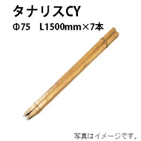 公共工事用杭 タナリスCY φ75mm 5尺(L1500mm)×7本56166700 KYS-57T［タカショー 瀧商店]