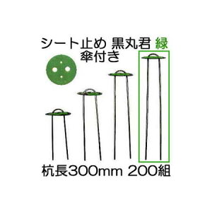 (200gZbg) یN (یN 4   X`[Y 30cm) wAsY 300mm Pt  (}` hV[g sDz̎~ߋ) V[g V[gs ؎Y