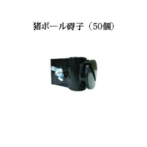 dCp |[Vq 50Zbg [KD-GAI-INO][dC hb΍ ƒ؉p 돤X] ̃AO