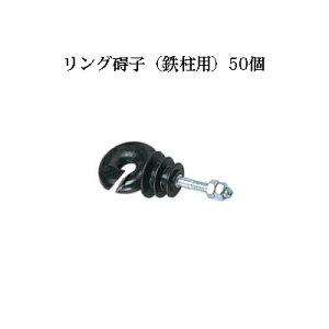 dCp OVq (Sp) 50Zbg [KD-GAI-RING-IR][dC hb΍ ƒ؉p 돤X]̃AO