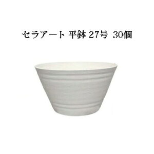 y30̔ Iza ZA[g  27 Oa270×150mmFI ƖpɍœK 풲 vX`bNB