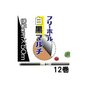 (12Zbg) C^j ؉p Vt[z[ }` 0.02mm×95cm×50m J}eA (@lorcƏ)