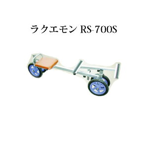 nbNX A~ np NG RS-700S [֎qŒ莮] (@llI)