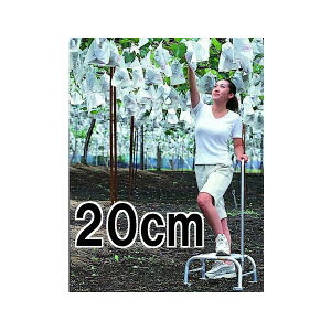 (lzOK) nbNX t~bN FL-20 A~  20cm d1.18kg@zm