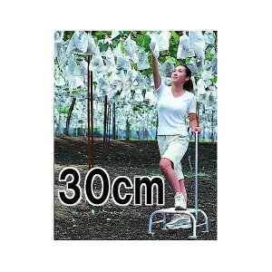 nbNX t~bN FL-30 A~  30cm d1.30kg (@llI)