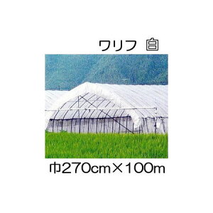 (3Zbg)  t HS-2700  270cm×100m 2.7×100m Ռ5 sDz ܂肽ݕi (΃t_Ɨp) V