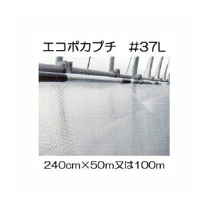 (llzs) nEXۉ GR|Jv` #d37L ό 240cm (50m2 or 100m1 I) Y