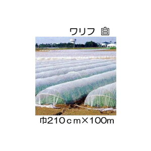 (3{Zbg)  t HS-2100  210cm×100m 2.1×100m Ռ5 sDz (΃t_Ɨp) V JXz΃GlM[