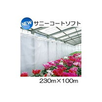 楽天市場】サニーコート 230cm×100mの通販