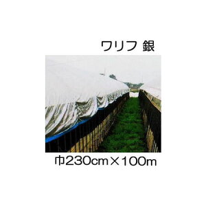 (3Zbg)  t EX-2300 () 230cm×100m 2.3×100m Ռ45 sDz ܂肽ݕi (΃t_Ɨp) V JXz΃GlM[