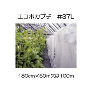 (llzs) nEXۉ GR|Jv` #d37L ό 180cm (50m2 or 100m1 I) Y