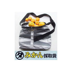 { }^ ݂̎܁mʎn܁nLxg ݂̏W ʎn ʎ̏W ꔲ Yi