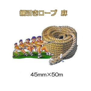 (Yi ̓^Cv) j[v () 45mm×50m j[v ̂KH (tTc}H obNXvCX S) {