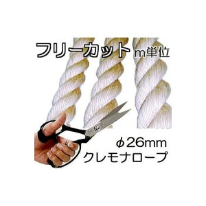 ({ ̓^Cv) Ni[v a26mm  Jbg̔ mP (Yi) OQ O  rj[v ibN