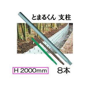 (8{Zbg FI) y| Ƃ܂邭px Lbvt (3ip) 48.6×2000mm (44.2kg) SZnCJ[ jbPtFX&^