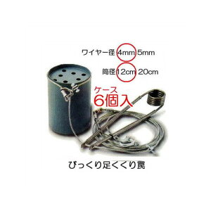 (6Zbg) т  SA-1 C[4mm ga12cm Ftype No.605 IS-5 hH hqY  CmVV   Lcl K hbߊl
