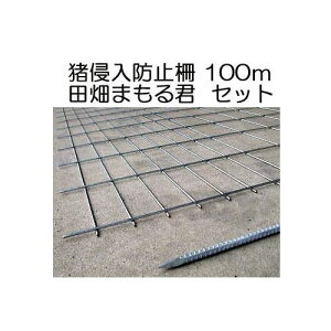 Nh~ c܂N 100mZbg a5mm bL 1.2m×2.0m xAt hb