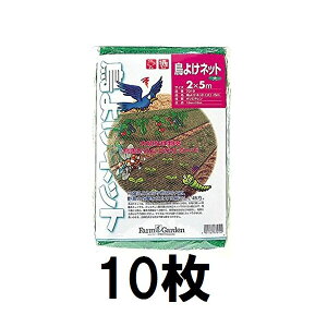 (10Zbg) L{V 悯lbg () 2×5m 7019@zs