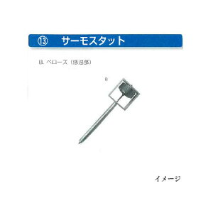 [琗pi tLi] x[Y () mtL z z {{ 돤X atLn