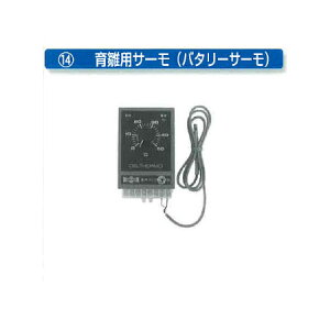 [琗pi tLi] 琗pT[ (o^[T[)mtL z z {{ 돤X atLn