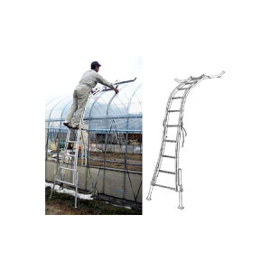 ZNgtBbg SF-500 rj[nEXpq ~c