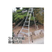 楽天市場】伸縮 三脚脚立の通販