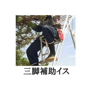 y~c izA~ Orp ⏕CX 炭炭CX EƂ̑̕SyIzm