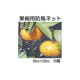 (6枚セット) キンボシ 果樹すっぽり防鳥ネット 6m×6m 果樹用防鳥網 7679 直がけ防鳥網　zm