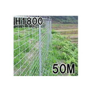 (@ll菤i)CmVVQbNh~ OHM CmVbV1800mm 50mZbg[돤X]