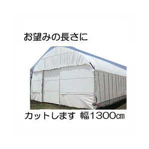 Jbg̔ nNN 0.15mm 1300cm 30m d59.7kgmʎdl(E)̎ՔMEՌ _POtBn MKVAhoX