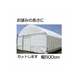 Jbg̔ nNN 0.15mm 500cm 30m d23kgmʎdl(E)̎ՔMEՌ _POtBn MKVAhoX