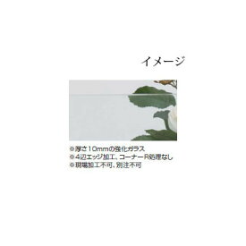 ビュースルー フェンスビュースルー クリアガラス 溝付柱用(62396900 クリア W1200×H1000) ［格子 タカショー 庭用 瀧商店]