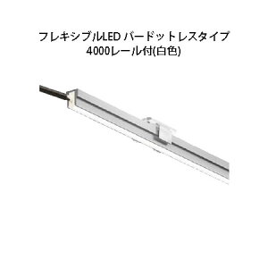 fR[VCg 12VtLVuLED o[hbgX^Cv 4000 [t(HAC-W36T 79840700) F(^JV[ GNXeA 둢 DIY)