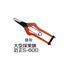 近正 チカマサ 大型採果鋏 曲刃 S-600 ［収穫鋏 反刃］(zmA70)