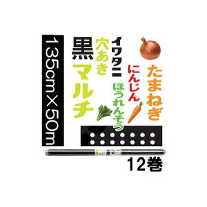 (徳用ケース特価 12巻セット) イワタニ 菜園 たまねぎ用 穴あき 黒マルチ 玉ねぎ黒マルチ 0.02mm×135cm×50m (5列穴) 3515 45mm孔 岩谷マテリアル (法人or運送会社営業所引取)