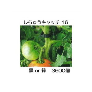 (3600) U イLb` 16 (or FI) xa16mmp V[ S16B-300 S16G-300