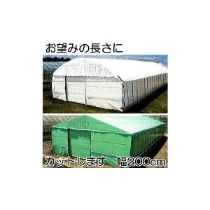 Jbg̔ _POtB nNN 0.15mm×200cm×30m d9.2kg ʎdl(E) _Ɨpi[ (2g) MKVAhoX