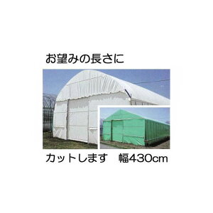 Jbg̔ nNN 0.15mm 430cm 30m d19.7kg mʎdl(E)̎ՔMEՌ _POtBn MKVAhoX