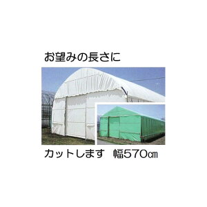 Jbg̔ nNN 0.15mm 570cm 30m d26.2kgmʎdl(E)̎ՔMEՌ _POtBn MKVAhoX