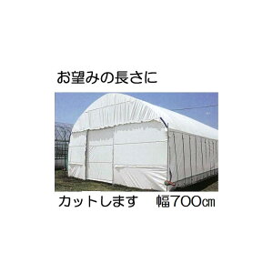 Jbg̔ nNN 0.15mm 700cm 30m d32.1kg ʎdl(E) _POtB _Ɨpq ՔM Ռ MKVAhoX