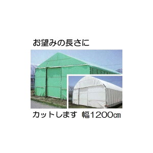 Jbg̔ nNN 0.15mm 1200cm 30m d55.1kg mʎdl(E)̎ՔMEՌ _POtBn MKVAhoX