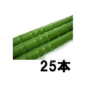 (25本セット) タキロン シーアイ (業務用 農業用支柱) カラー鋼管 20mm×1.2m 新ねぶし竹 新ネブシ 農竹 20×1200mm (個人宅配送不可)
