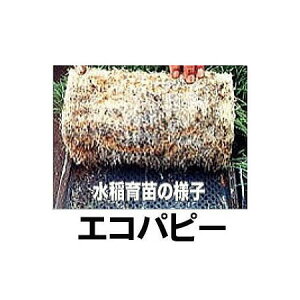 (1000Zbg) jbe cp~ GRps[II ElM [_@ | 돤X] GRps[2 {[ؐ |@lElƎҌ