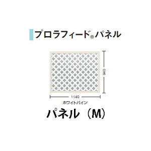 vtB[h pl(M)(bhEbh/_[NuE/zCgpC)[mtFX ^JV[ GNXeA 둢 DIY 돤X]