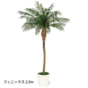 �i�����p�j�O���[���f�R �t�F�j�b�N�X 2.5m(GD-229 21773100)�m�^�J�V���[ ���|�p�i �G�N�X�e���A �_�@�� �돤�X]