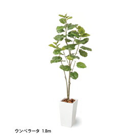 （室内用）人工観葉植物 ウンベラータ 1.8m(GD-230S 33384400)［タカショー 園芸用品 エクステリア 農機具 瀧商店]