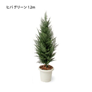 ipjlHA qo O[ 1.2m(GD-233 21631400)m^JV[ |pi GNXeA _@ 돤X]