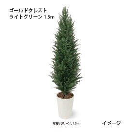 （室内用）人工植物 ゴールドクレスト ライトグリーン 1.5m(GD-234L 33405600)［タカショー 園芸用品 エクステリア 農機具 瀧商店]