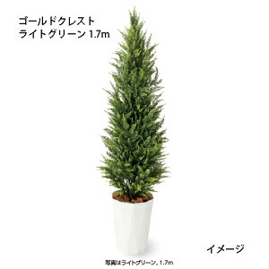 ipjlHA S[hNXg CgO[1.7m(GD-234LL 33404900)m^JV[ |pi GNXeA _@ 돤X]