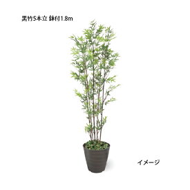 （室内用）人工植物 グリーンデコ和風 黒竹5本立 鉢付 1.8m(GD-14LH 33371400)［タカショー 園芸用品 エクステリア 農機具 瀧商店]